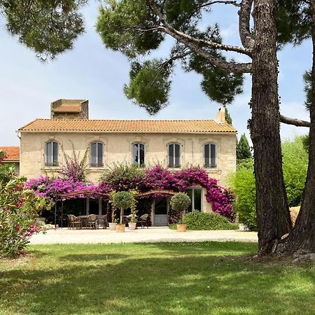 Maison Tara Verte Au Mas Montredon Arles Eksteriør billede