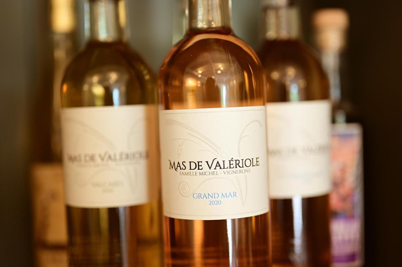 Maison Tara Verte Au Mas Montredon Arles Eksteriør billede