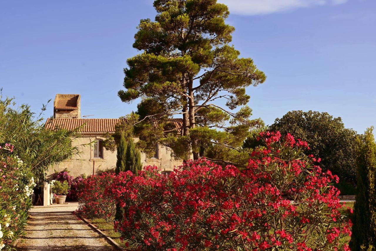 Maison Tara Verte Au Mas Montredon Arles Eksteriør billede