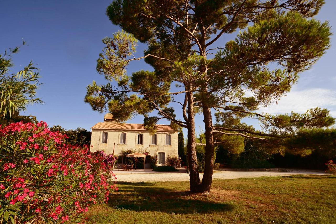 Maison Tara Verte Au Mas Montredon Arles Eksteriør billede