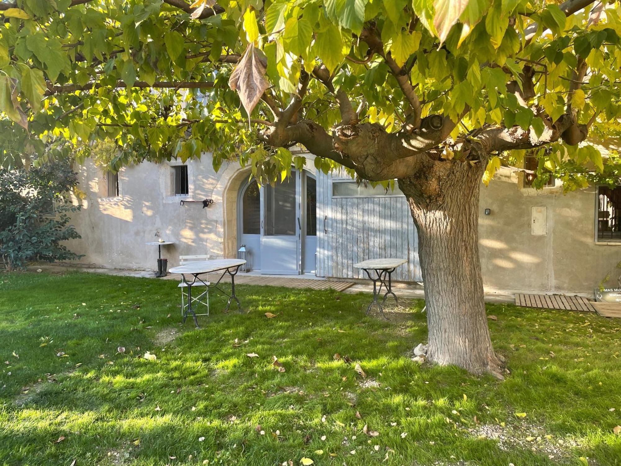 Maison Tara Verte Au Mas Montredon Arles Eksteriør billede