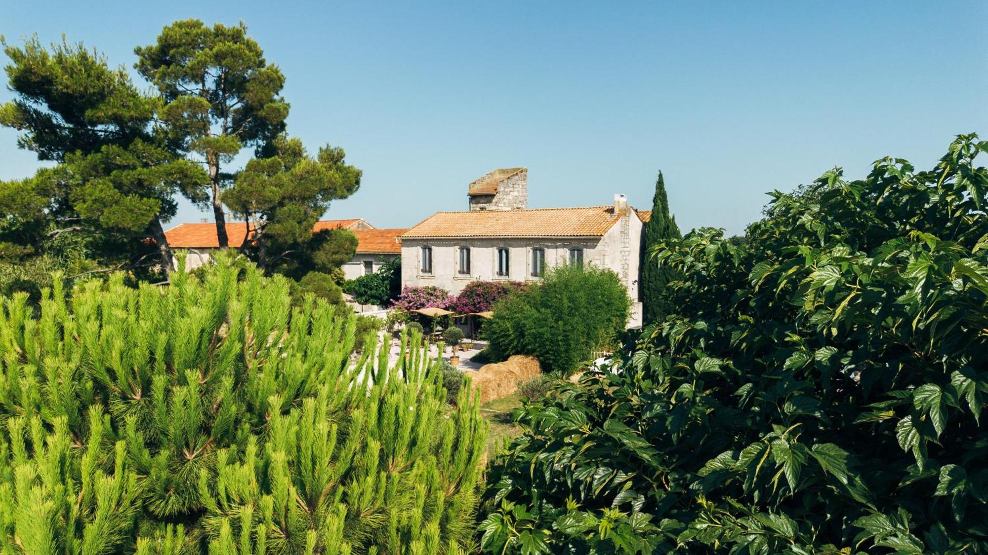Maison Tara Verte Au Mas Montredon Arles Eksteriør billede